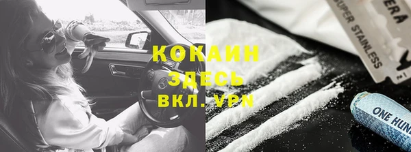 PSILOCYBIN Алексеевка