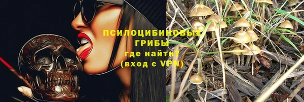 PSILOCYBIN Алексеевка