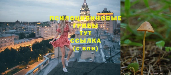 PSILOCYBIN Алексеевка